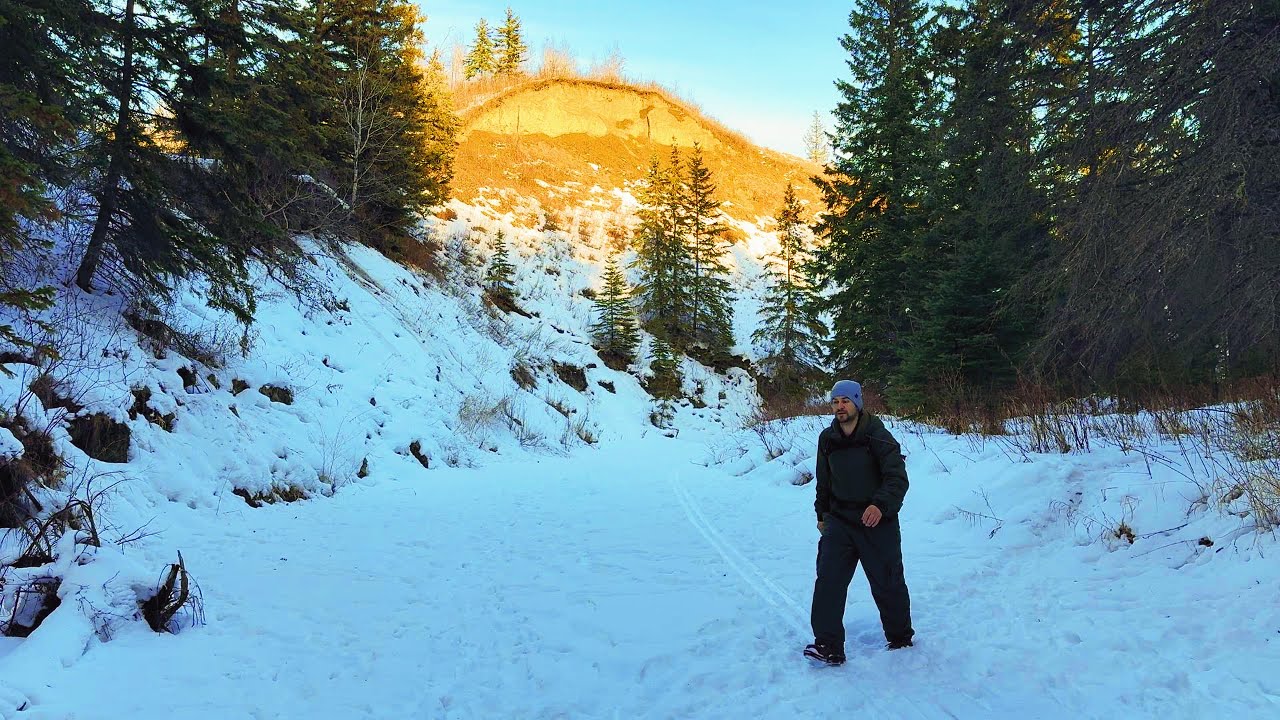 Winter Wonderland:  Snowy Forest Lunch Escape.