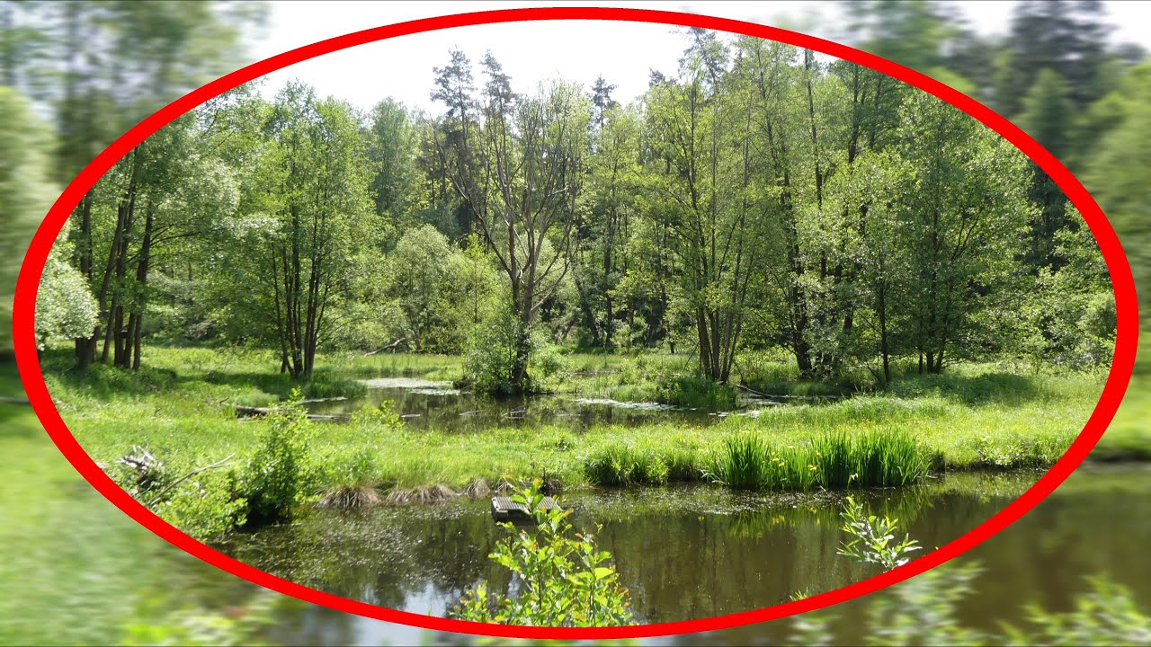Sagenhafter Zeitzgrund