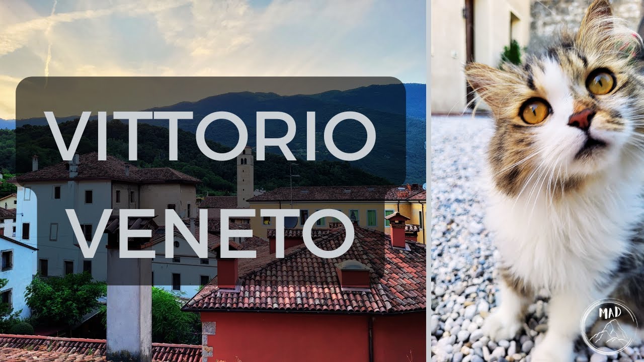 Beautiful Italian town close to Venice! Perfect and affordable place to stay!