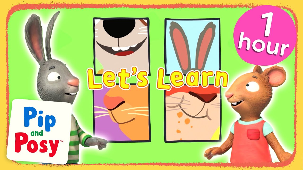 Let's Learn about the Body! 👁️👃👄| Pip and Posy