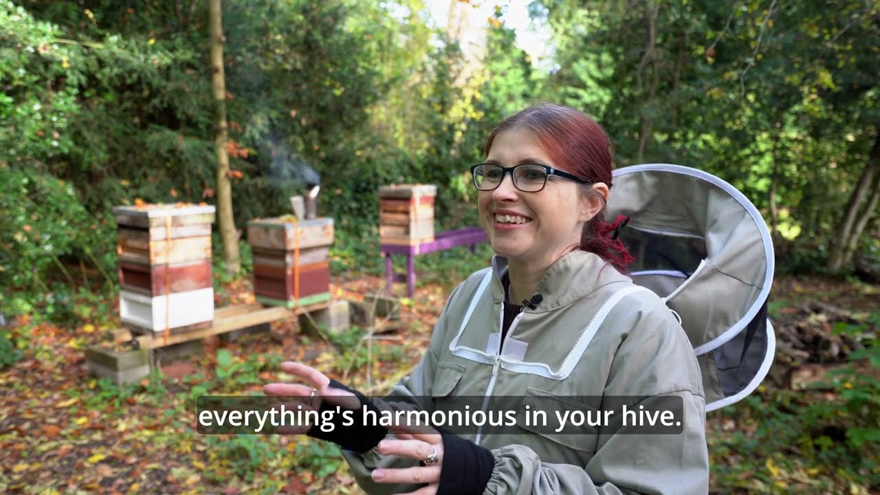 Beekeeping at Martineau Gardens Subtitled