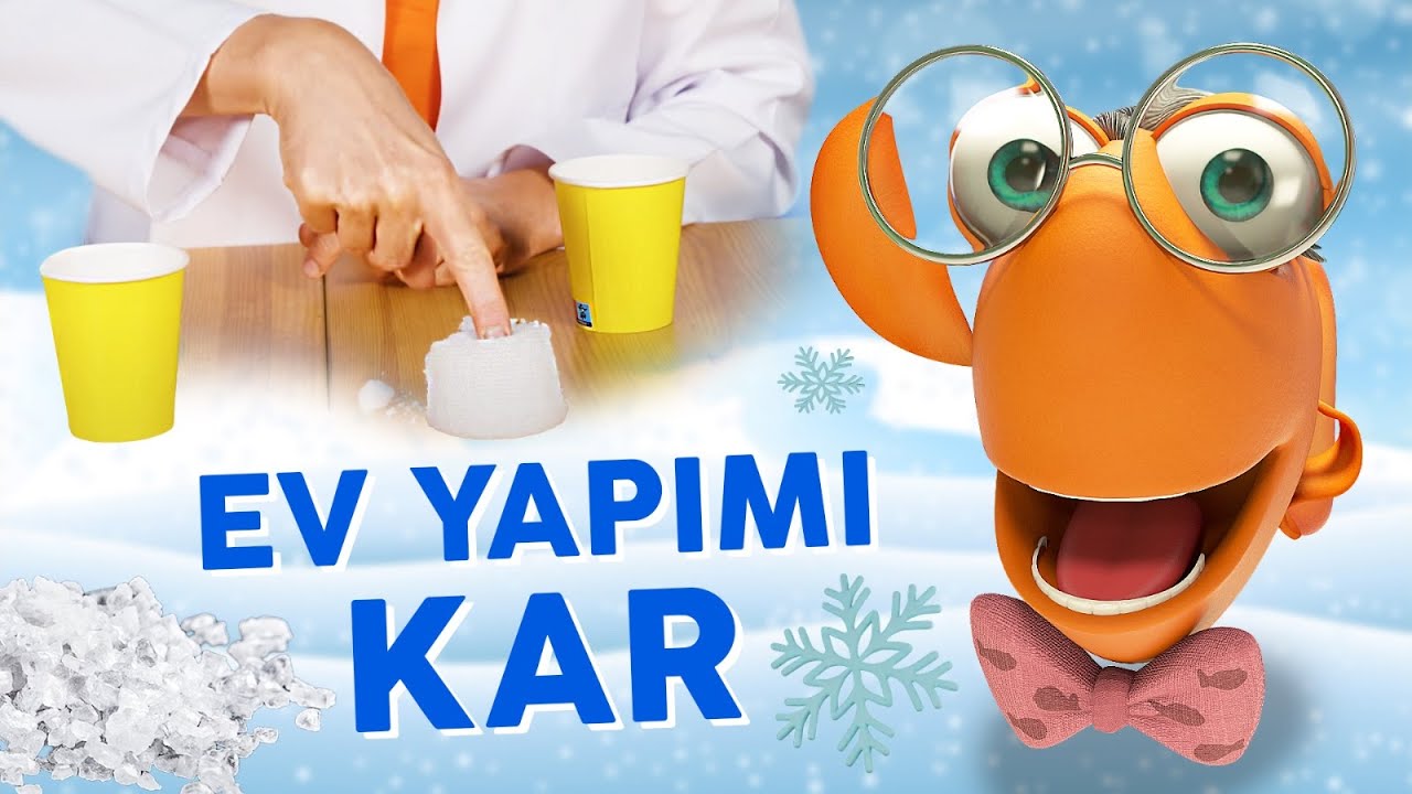 Profesör Balık ile Deneyler: Ev Yapımı Kar