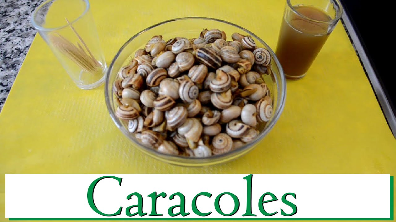 ¿Cómo hacer Caracoles? Las Recetas del Hortelano