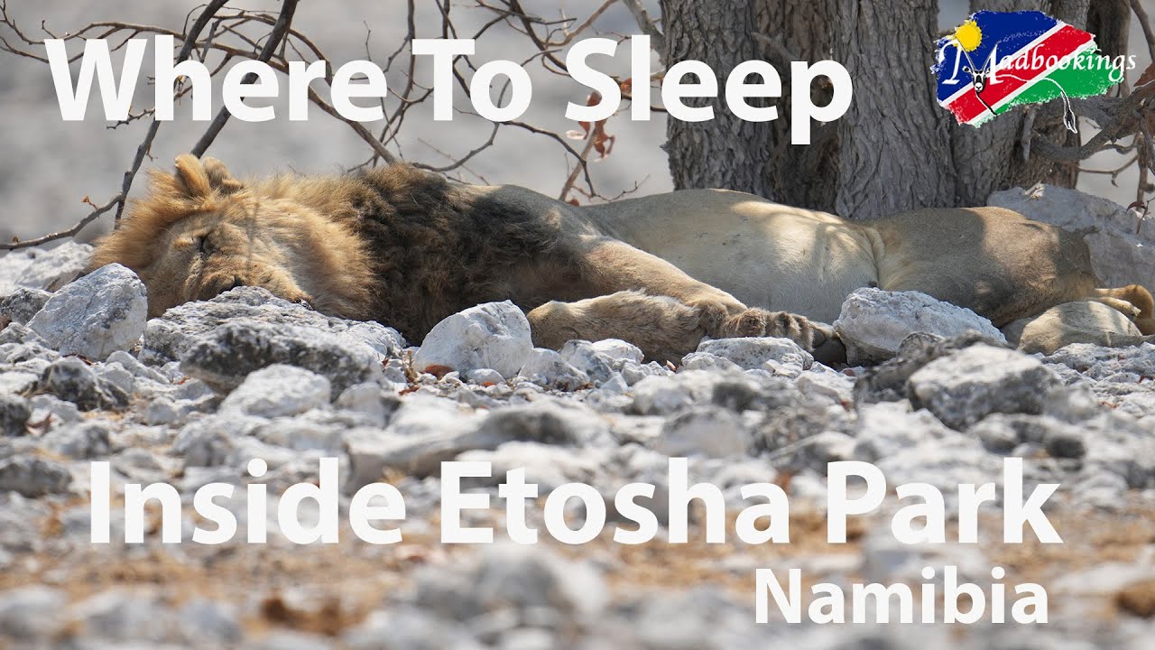 The only 6 Places to stay inside Etosha National Park Namibia