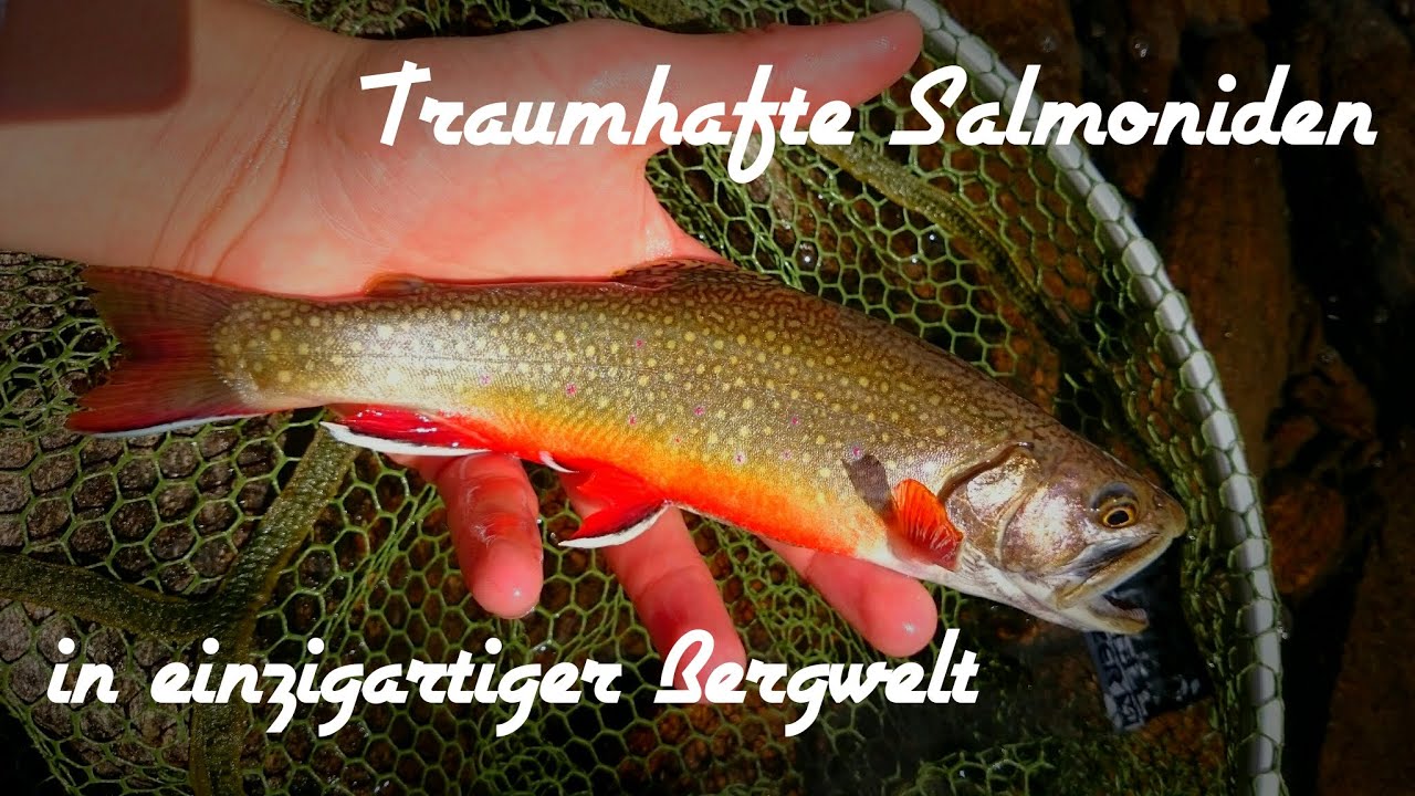 #7 Traumhafte Salmoniden in einzigartiger Bergwelt / Swiss Alpine Fishing / FULL HD