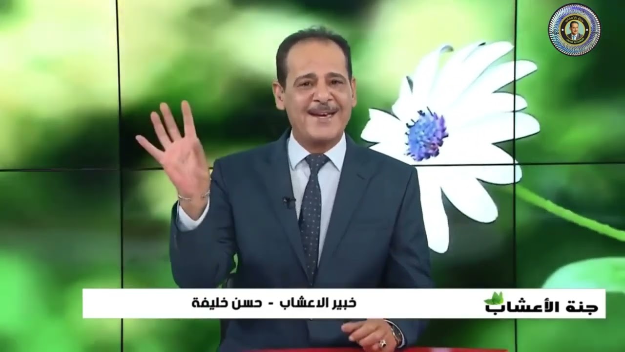 بذور دوار الشمس كنز من الفيتامينات والمعادن مــع خـبـيـر الأعشاب حسن خليفه