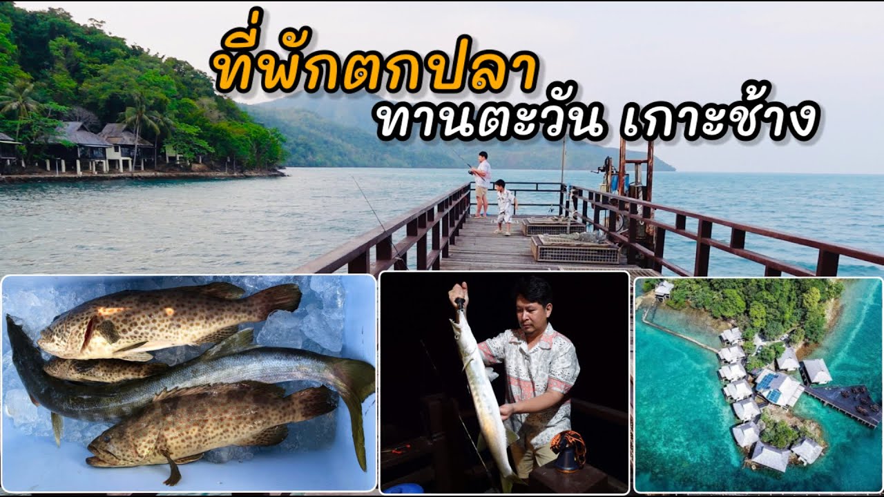 ที่พักตกปลาทะเล หมายเด็ดหลังห้องพัก ทานตะวันรีสอร์ท เกาะช้าง