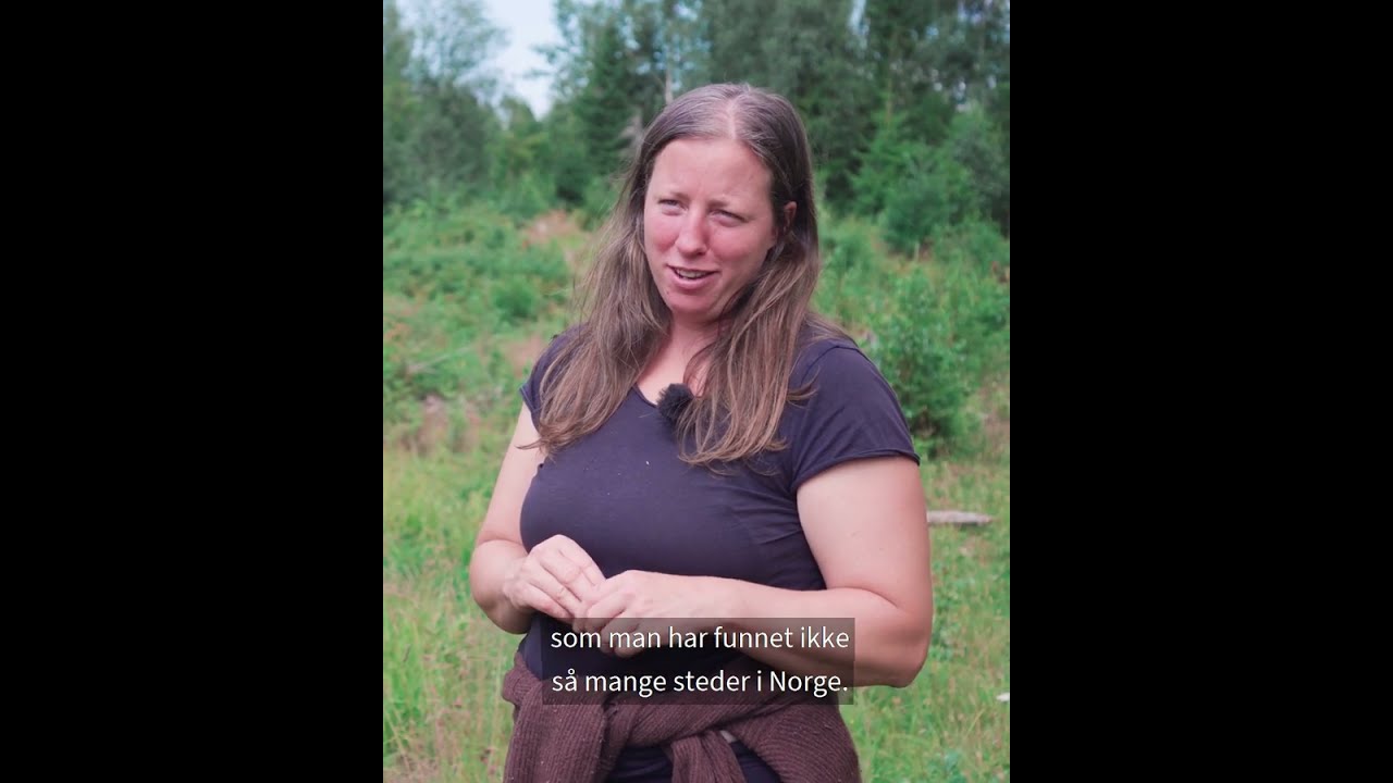 Møt bonden som tar vare på trua arter
