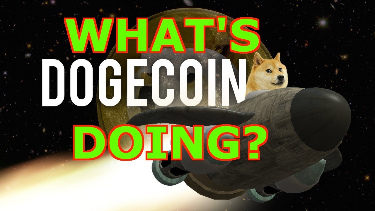 💎🚀🌑 Dogecoin WHAT IS IT DOING💎💎💎 (LIVE)