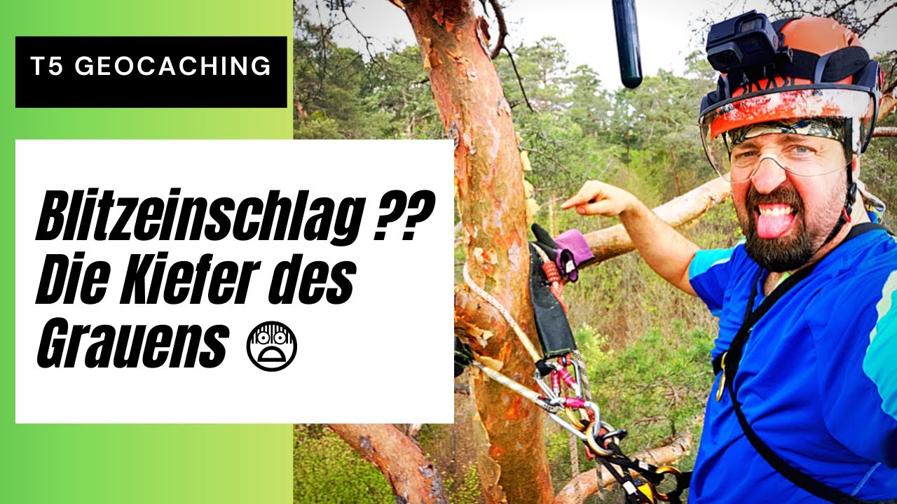 T5 Klettern Geocaching - Wurde Baum vom Blitz getroffen ? ⚡️🌲 | Baumklettern bei Nürnberg