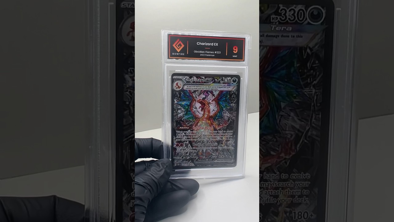 Chase Charizard from Obsidian Flames 🔥 #pokemon #charizard #tcg #obsidianflames