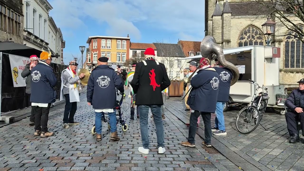 De Dwaile van Ulst optreden met carnaval in Hulst 2026