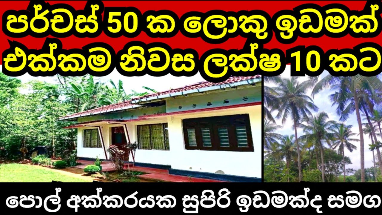 පර්චස් 50 ක විශාල ඉඩම හා නිවස රු ලක්ෂ 10 කට| House for sale | Pol idam | Land for sale| Aduwata idam