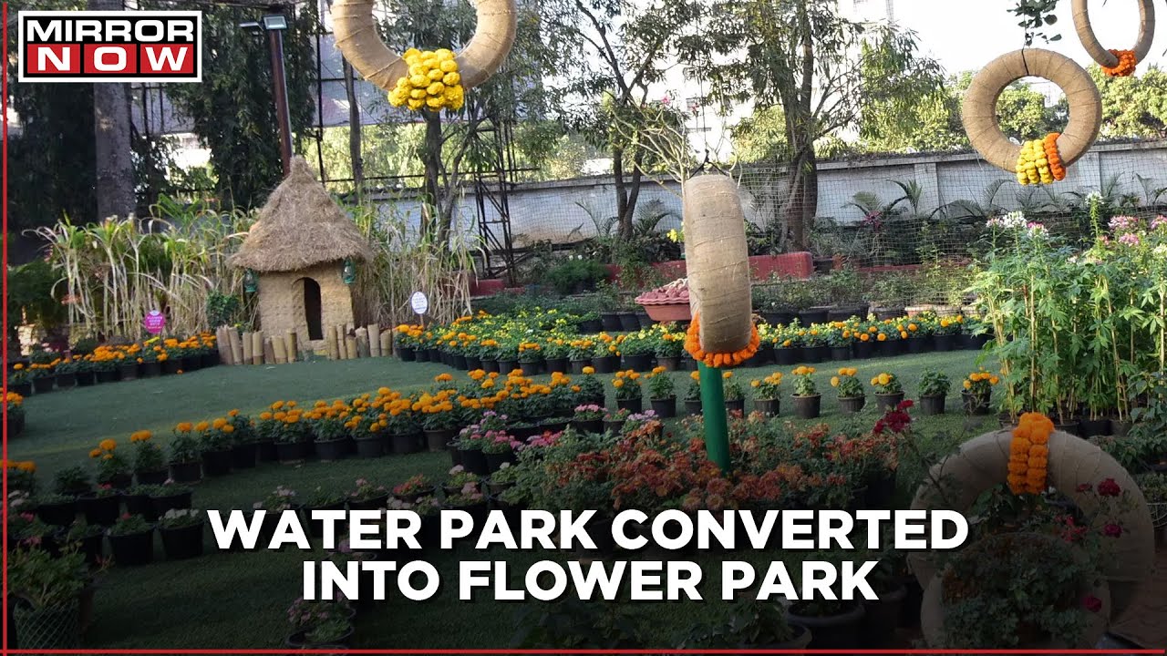 Maharashtra: Water park in Nashik revamped as flower park
