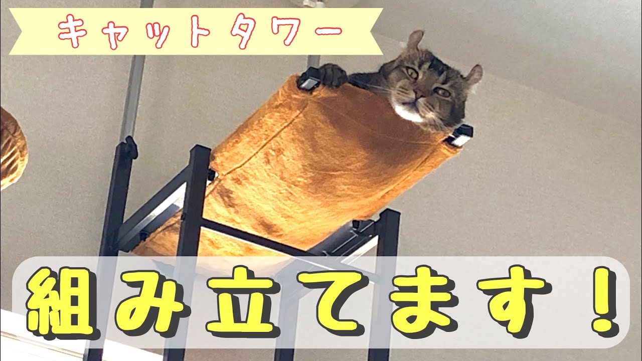【キャットベース】大型キャットタワーを組み立てていきます！