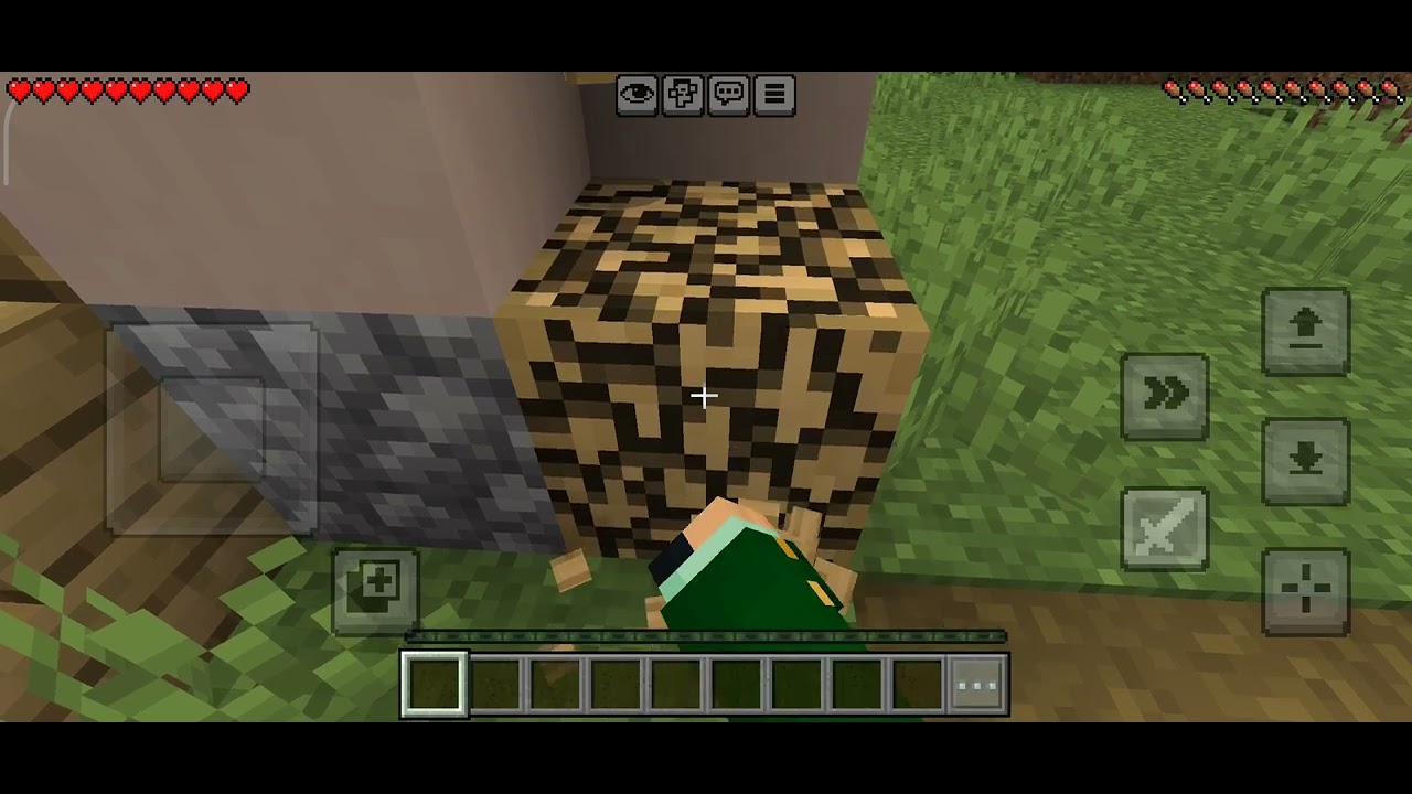 Minecraft 1 bölüm