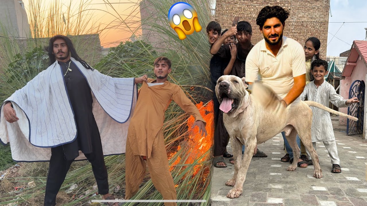 Waleed K Further Zoo Se Bully Dog Waps Le Aiye 😱 Mocha Don  Larka Ko Jala Raha 