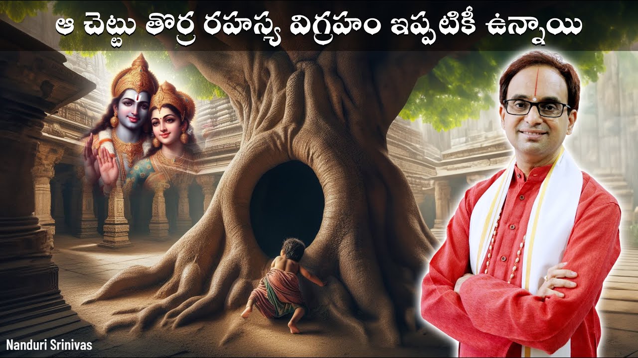 ఆ చెట్టు తొర్ర, రహస్య విగ్రహం ఇప్పటికీ ఉన్నాయి | Life of Sri Nammalwar  | Nanduri Srinivas