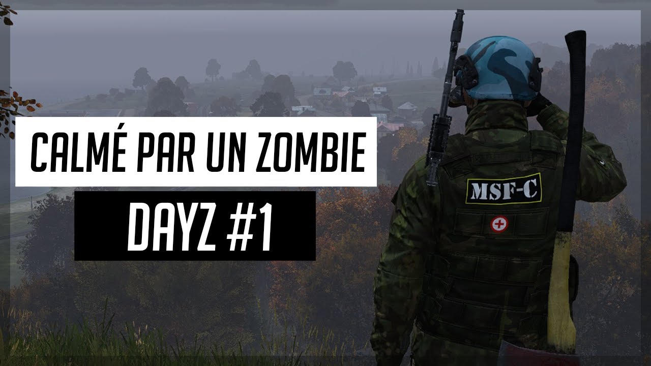 ◤ DAYZ #1 - CALMÉ PAR UN ZOMBIE !