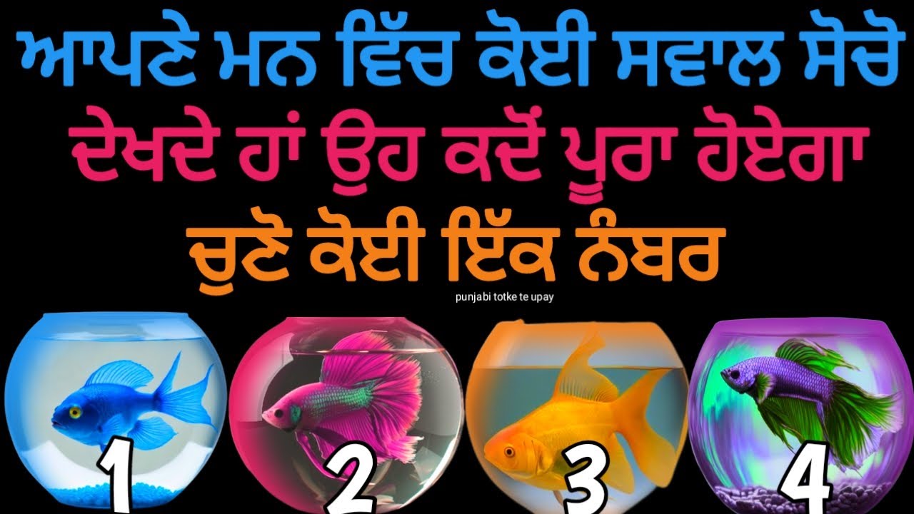 Tarot Card Reading 🔮/ ਆਪਣੇ ਮਨ ਵਿਚ ਕੋਈ ਸਵਾਲ ਸੋਚੋ ਦੇਖਦੇ ਹਾਂ ਉਹ ਕਦੋ ਪੂਰਾ ਹੋਏਗਾ ਚੁਣੋ ਕੋਈ ਇਕ ਨੰਬਰ #tarot