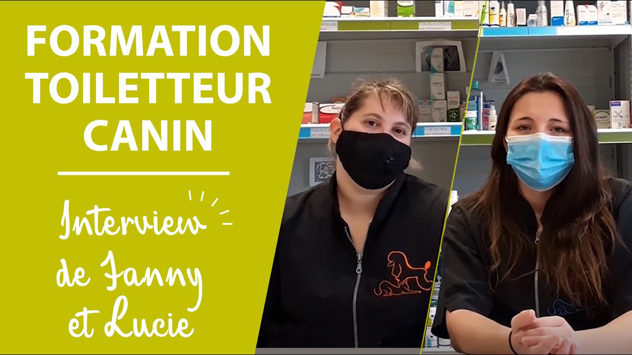 Formation Toiletteur canin et félin (CTM) - Sup Santé Animale