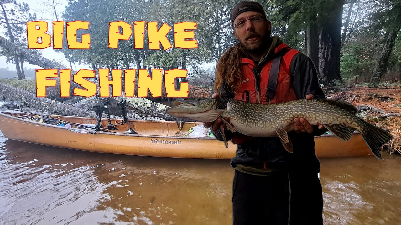 Solo Pike Fishing Adventure In The Adirondacks (Canoe Camping For A Week On A Massive Lake)