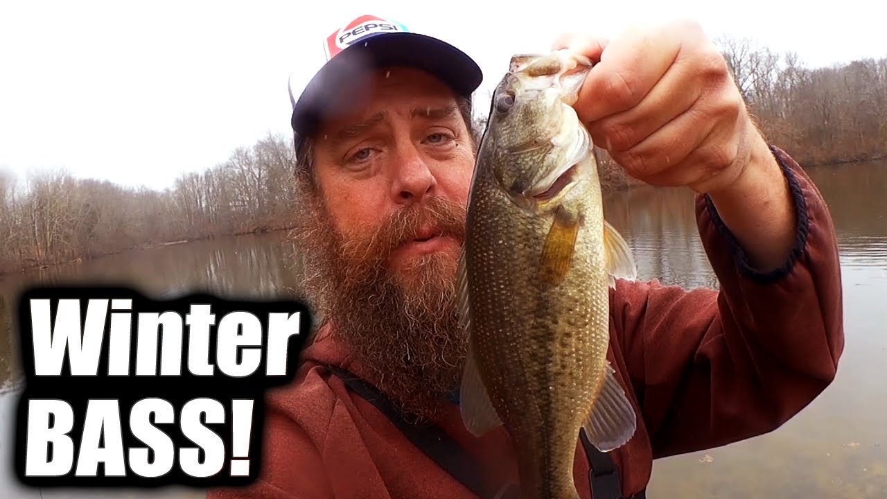 I CAN'T BELIEVE IT - I am Catching Bass From Shore In WINTER!