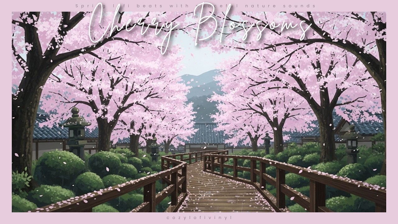 Cherry blossom park walk | Spring lofi beats with peaceful nature sounds 🌸