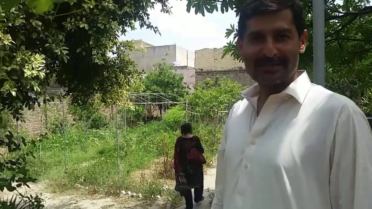 Organic Kitchen Gardening in Chakwal Pakistan - Saleem Khan Saheb -