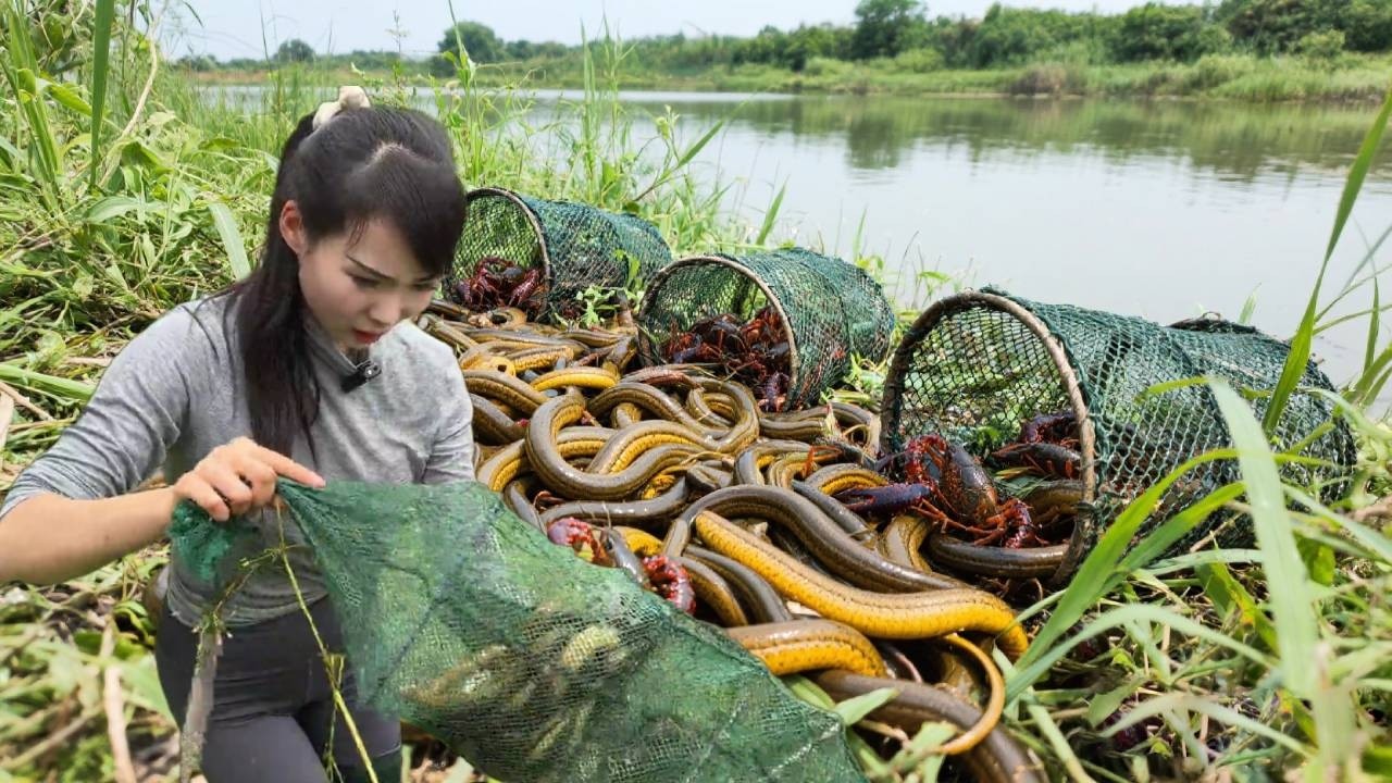 文杰挑战评论区网友提供的任意位置抓黄鳝（第二期），60个地笼能有什么意外之喜？！