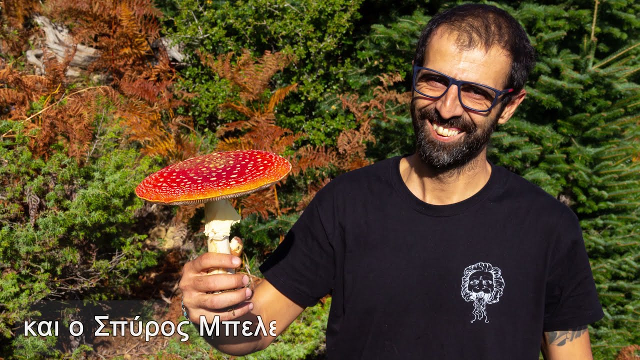 Κυνηγοί μανιταριών στην Όθρυ