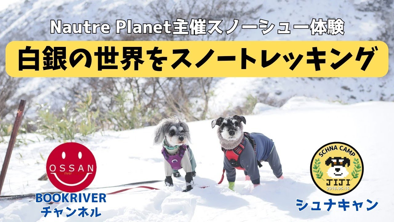 【お出掛け】白銀の世界をスノートレッキング　”Nature Planet主催スノーシュー体験”
