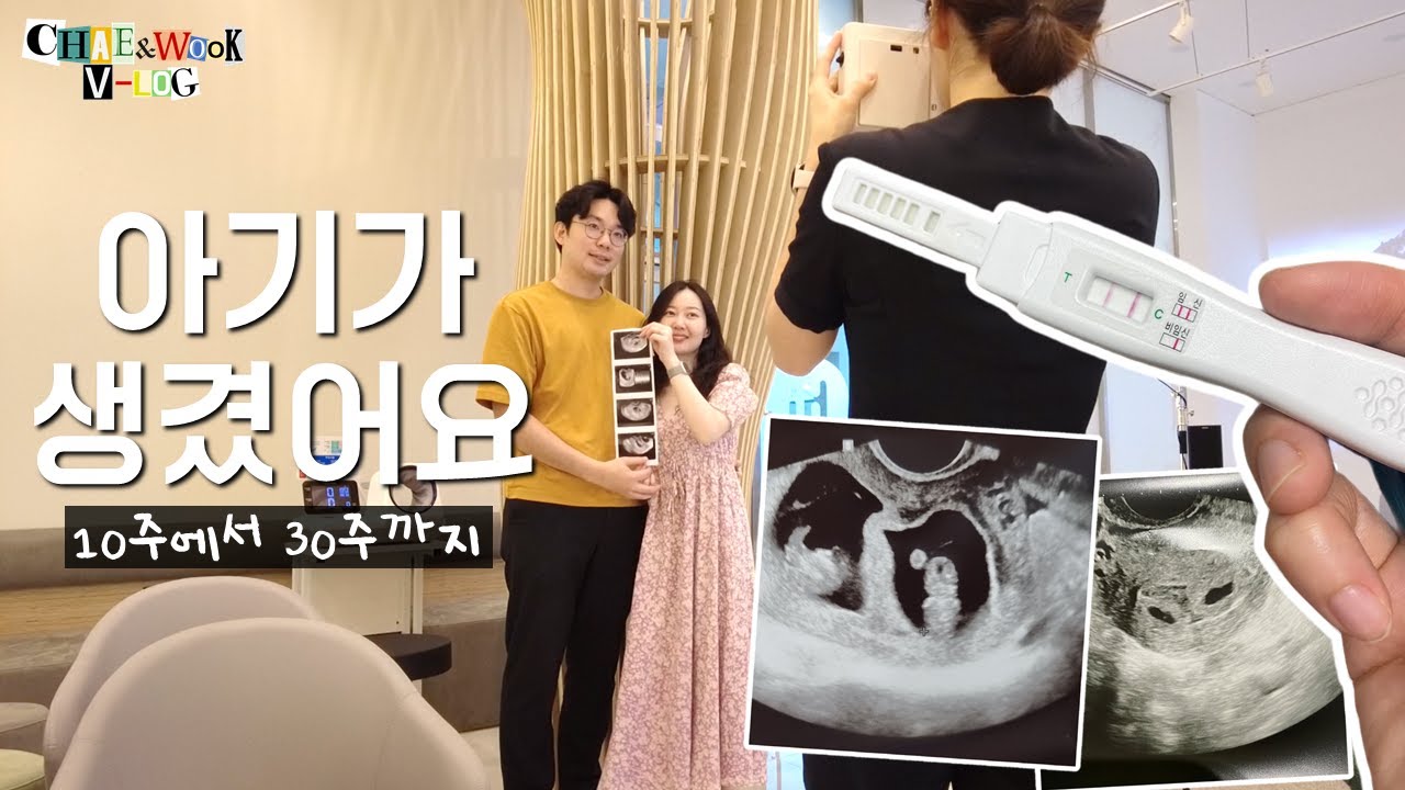 [임신Vlog] 드디어 아기👼가 찾아왔어요!!! 근데 쌍둥이...라고?| 임신 10주에서 30주까지의 임신 로그