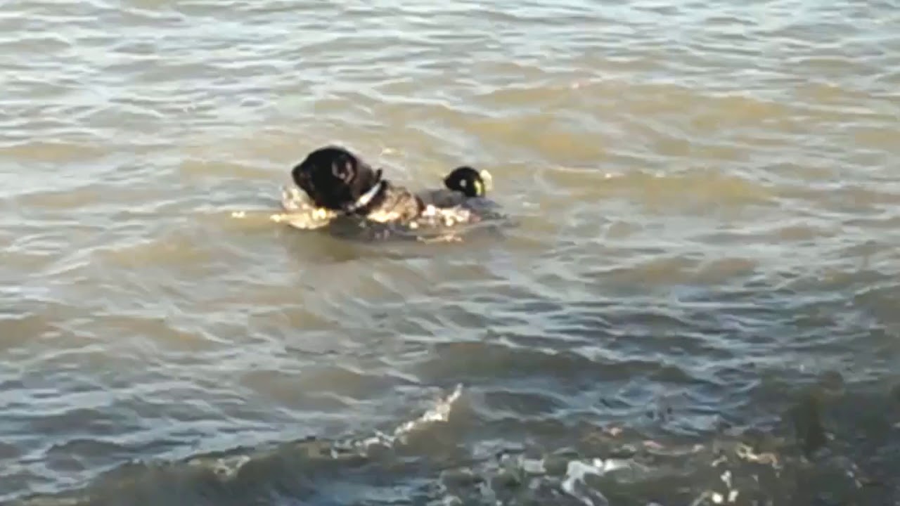 Memory: Niele Learns To Swim