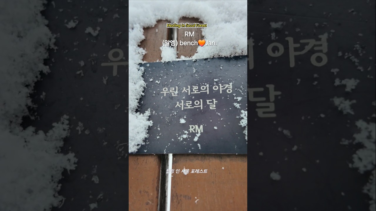 RM(알엠) bench🧡 Jan. ::Healing in Seoul Forest #bts #army