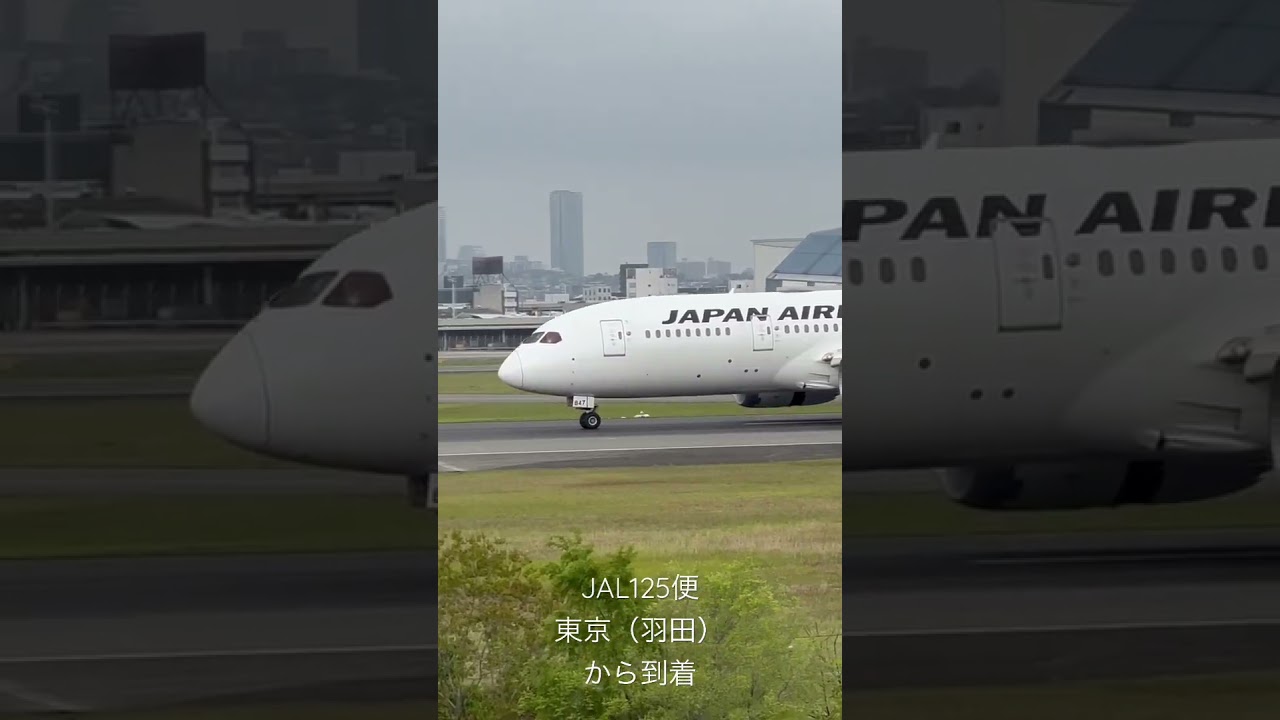 大阪空港到着シーン　JAL125便 東京（羽田）から到着