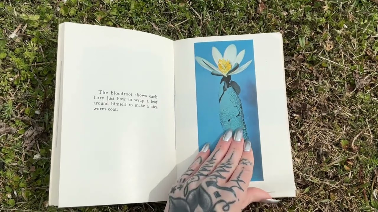 Signs of the fairies by Ellen fenlore