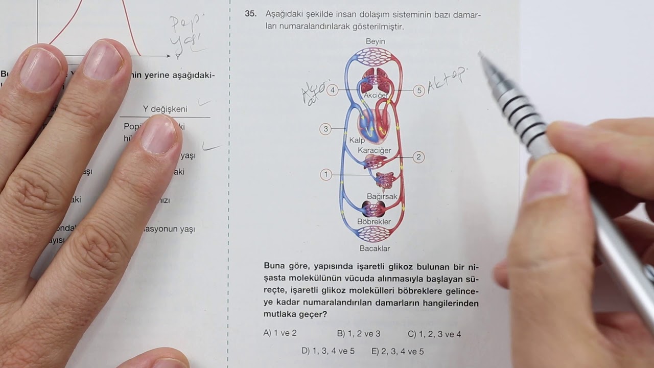FİNAL YAYINLARI YKS -1 GENEL DENEME SINAVI AYT Biyoloji Çözümleri ll Şubat 2021
