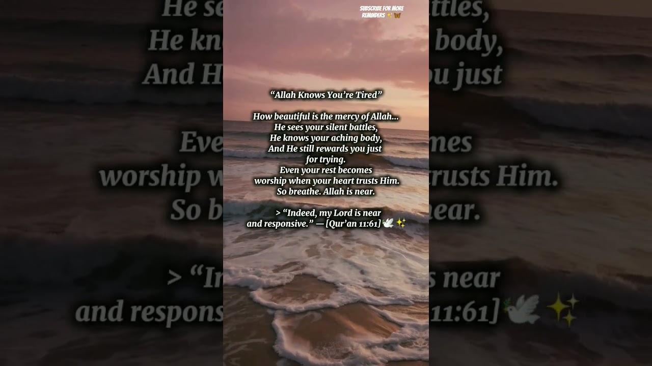 #nasheeds 🦋#allahiswithyou 💗 #healingwithquran 🌺 #peacethroughislam ✨