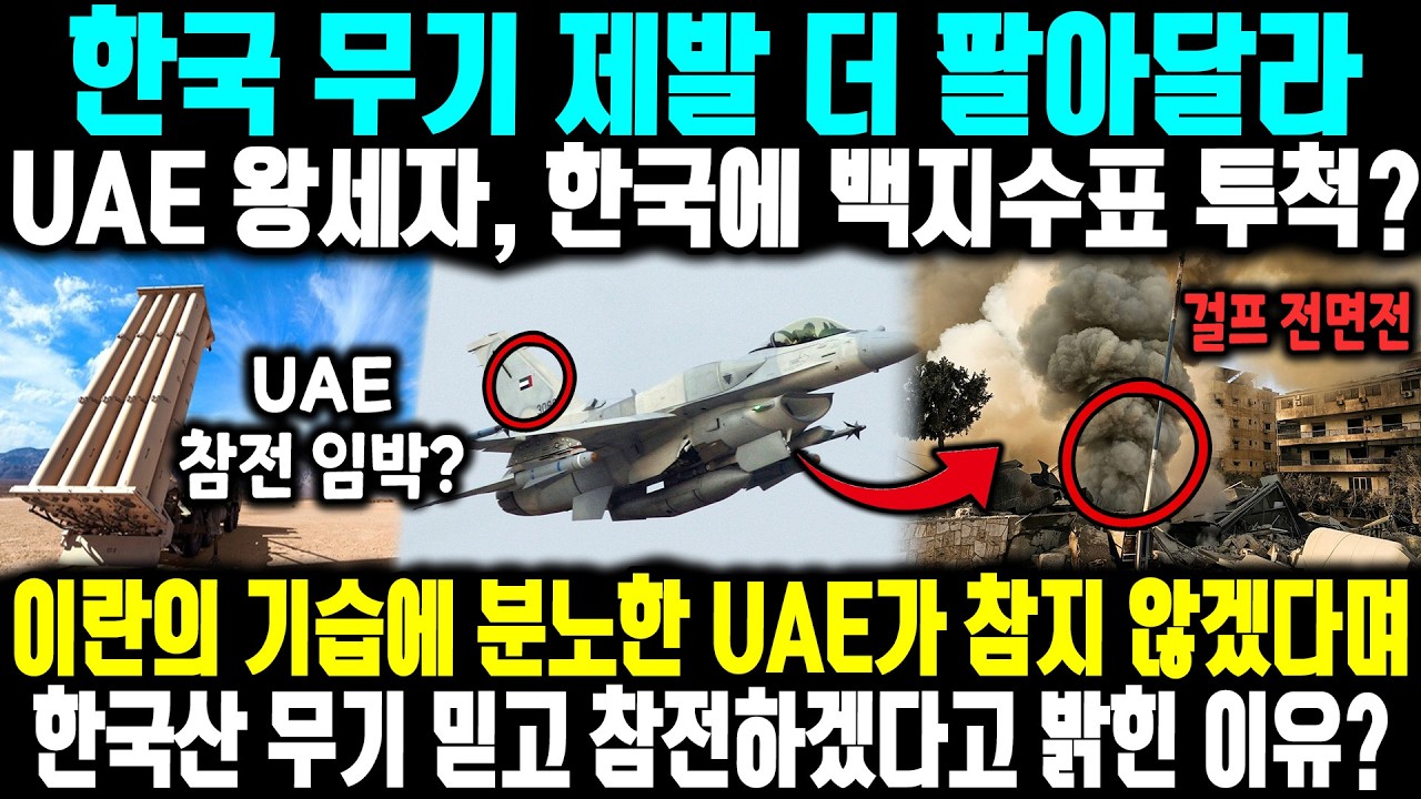 한국 무기 제발 더 팔아달라UAE 왕세자, 한국에 백지수표 투척? ㅣ 이란의 기습에 분노한 UAE가 참지 않겠다며 한국산 무기 믿고 참전하겠다고 밝힌 이유?