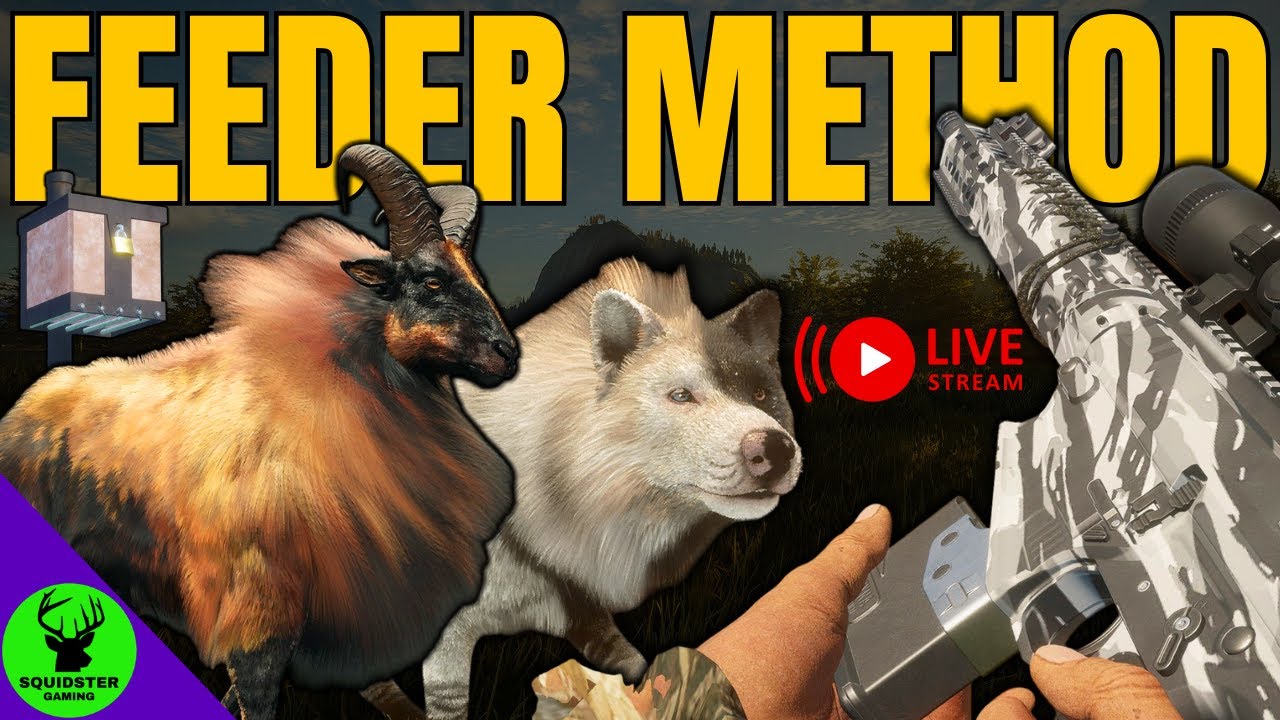 TAHR GRINDING WITH NEW FEEDERS!!!! (Post-Stream Crash) - Call of the Wild
