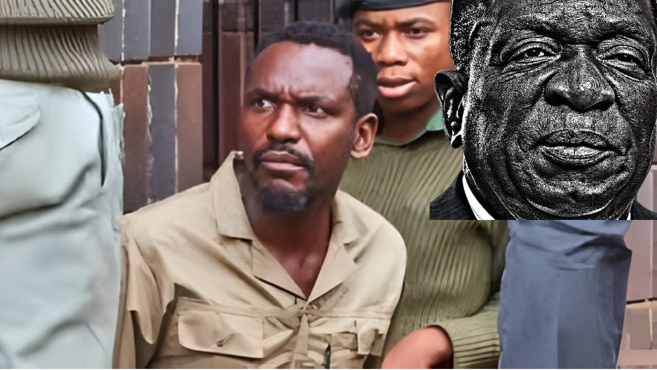 MNANGAGWA POLICE HUNT FOR BLESSED MHLANGA AFTER SCATHING GENEVA SPEECH EXPOSING REGIME'S BRUTALITY