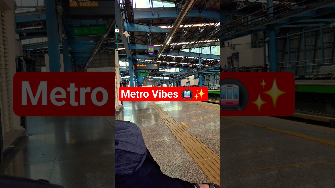 🚇 Amazing Metro Vibes | City Life in Motion | #Shorts #MetroVlog #Viral