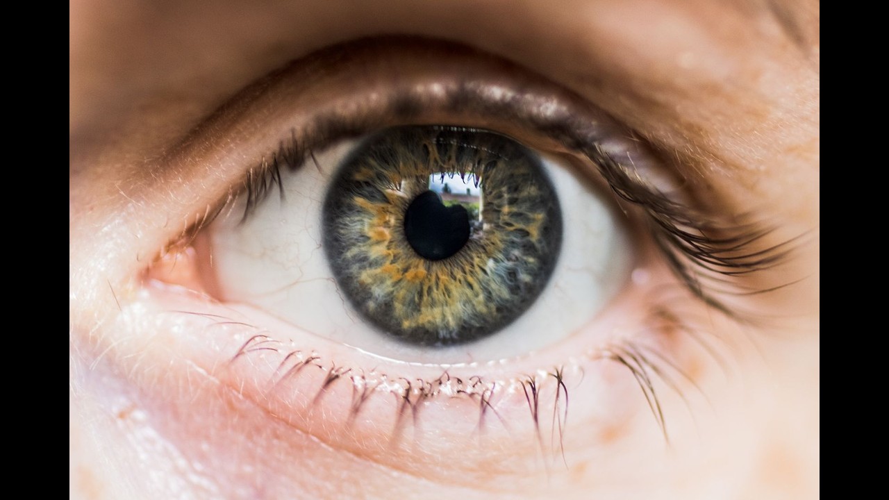 Keep Your Eyes Open ~ Namaste Village Morning Session, Feb. 12, 2025