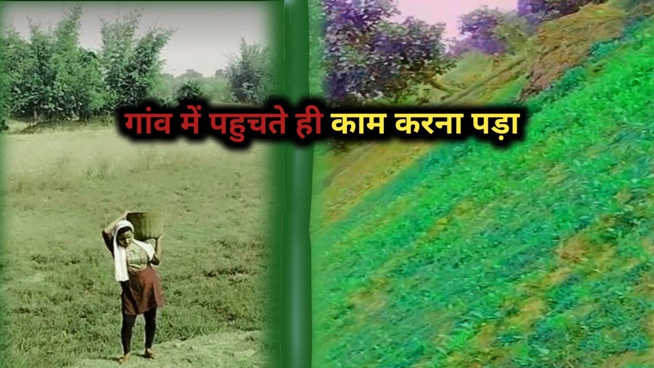 गांव आते ही । घर का काम शुरू कर दिए 