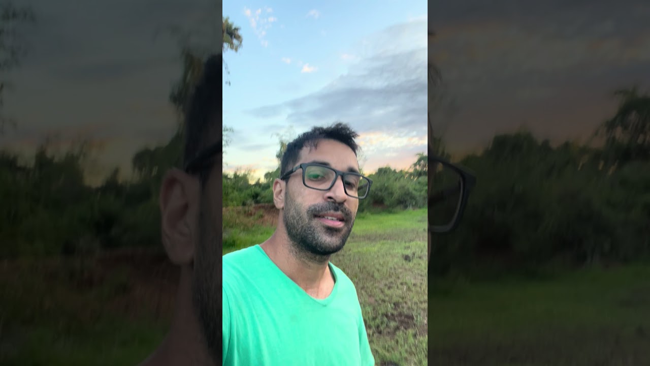 Fim de tarde no API&Aacute;RIO e produ&ccedil;&atilde;o de abelhas RAINHAS #apislogia #agro #apis