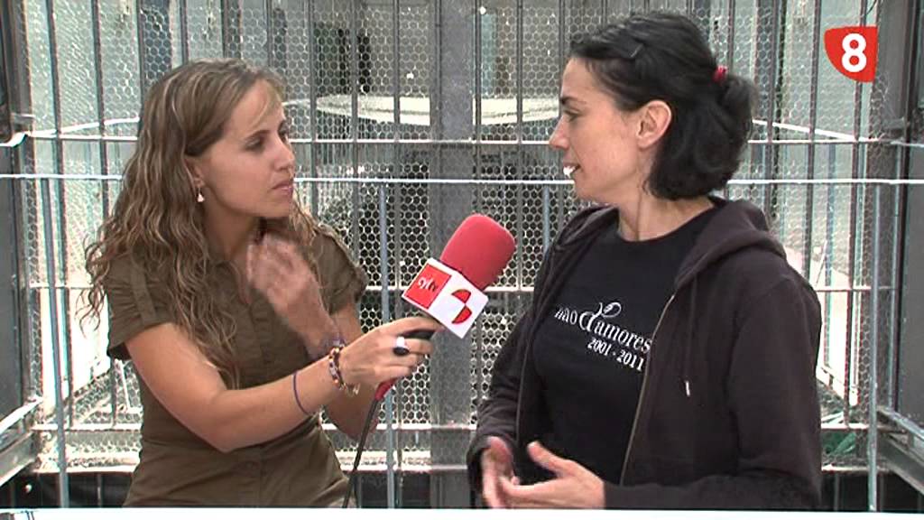 ENTREVISTA  NAO DE AMORES 