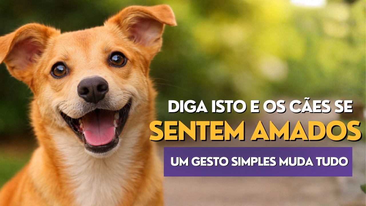 6 PALAVRAS que fazem seu CACHORRO sentir que VOCÊ O AMA (Um gesto simples muda TUDO)