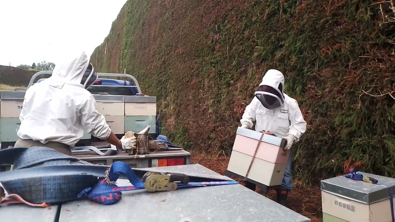 Loading hives manually