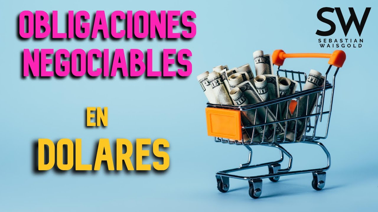 ✅ Obligaciones negociables en d&oacute;lares para armar cartera 2022 💸